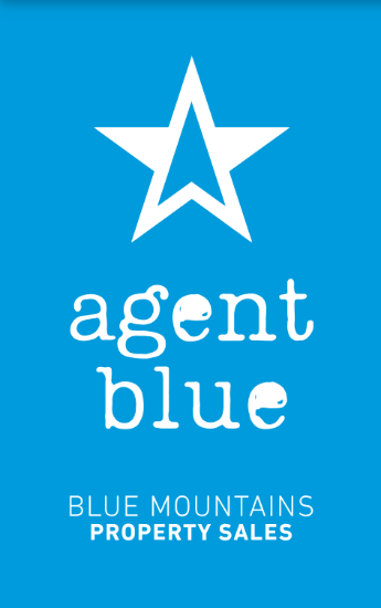 Agent Blue - Real Estate Agency