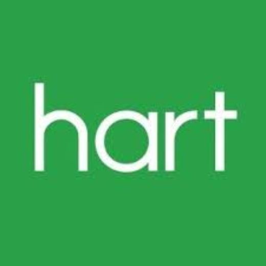 Max Dempsey - Real Estate Agent at Hart Estate Agents - Rose Bay