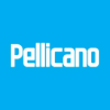 Pellicano Living Hillyard House - Real Estate Agent - Pellicano Living - MOUNT WAVERLEY