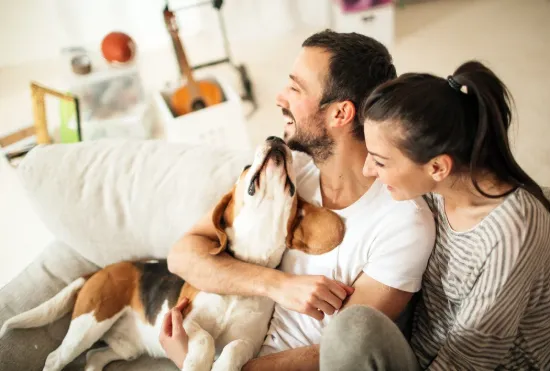 Oliver Hume Rental Subscription - Newcastle - Real Estate Agency