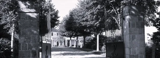 JacksonWall & Co - Real Estate Agency