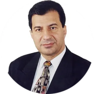 Joe Salah - Real Estate Agent