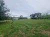 1 & 2 Mount Street, Coolac NSW 2727-Image