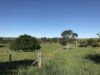 1-5 Hayden Street, Delegate NSW 2633-Image