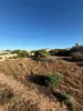 1 Adams Cove, Denham WA 6537-Image