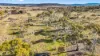 1/DP545233 Dalgety Road, Berridale NSW 2628-Image