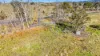 1/DP545233 Dalgety Road, Berridale NSW 2628-Image