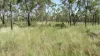 1 Gregory Developmental Road, Broughton QLD 4820-Image
