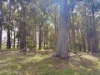 1 Skye Lane, Bridgetown WA 6255-Image