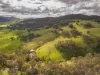 1023 Cookinburra Road, Barnawartha North VIC 3691-Image