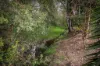 1023 Cookinburra Road, Barnawartha North VIC 3691-Image