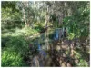 104A Water Street, Berserker QLD 4701-Image