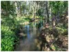 104B Water Street, Berserker QLD 4701-Image