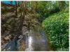 104B Water Street, Berserker QLD 4701-Image