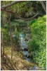 104B Water Street, Berserker QLD 4701-Image