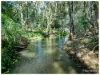 104B Water Street, Berserker QLD 4701-Image