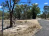 110 Biggs Road, Coolmunda QLD 4387-Image