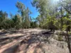 110 Biggs Road, Coolmunda QLD 4387-Image