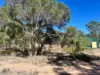 110 Biggs Road, Coolmunda QLD 4387-Image