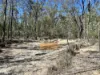 110 Biggs Road, Coolmunda QLD 4387-Image