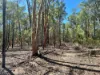 110 Biggs Road, Coolmunda QLD 4387-Image