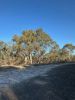 110 Fawcett Drive, Clunes VIC 3370-Image