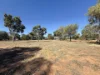 116-122 Bauhinia Street, Barcaldine QLD 4725-Image
