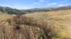 1188 Caddigat Road, Adaminaby NSW 2629-Image