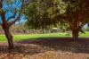 1208 Cypress Circle, Djugun WA 6725-Image