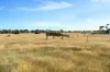 124 Brays Road, Cambrian Hill VIC 3352-Image