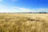 124 Brays Road, Cambrian Hill VIC 3352-Image