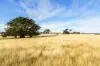 124 Brays Road, Cambrian Hill VIC 3352-Image