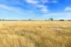 124 Brays Road, Cambrian Hill VIC 3352-Image