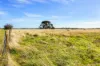 124 Brays Road, Cambrian Hill VIC 3352-Image