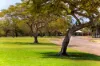 1243 Cypress Circle, Djugun WA 6725-Image