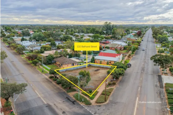 133 Bathurst Street, Condobolin NSW 2877-Image