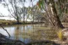 136 GLENVIEW Road, Barham NSW 2732-Image