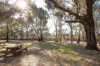 136 GLENVIEW Road, Barham NSW 2732-Image