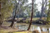 136 GLENVIEW Road, Barham NSW 2732-Image