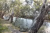 136 GLENVIEW Road, Barham NSW 2732-Image