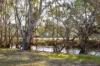 136 GLENVIEW Road, Barham NSW 2732-Image
