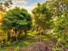 14, Cape Schanck VIC 3939-Image