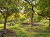 14, Cape Schanck VIC 3939-Image