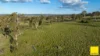 15 Karina Close, Armidale NSW 2350-Image