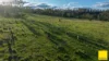 15 Karina Close, Armidale NSW 2350-Image