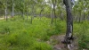 151 Baldaw Road, Captain Creek QLD 4677-Image