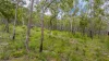 151 Baldaw Road, Captain Creek QLD 4677-Image