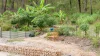 151 Baldaw Road, Captain Creek QLD 4677-Image