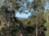 1517, Buaraba QLD 4311-Image