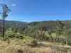 1517, Buaraba QLD 4311-Image